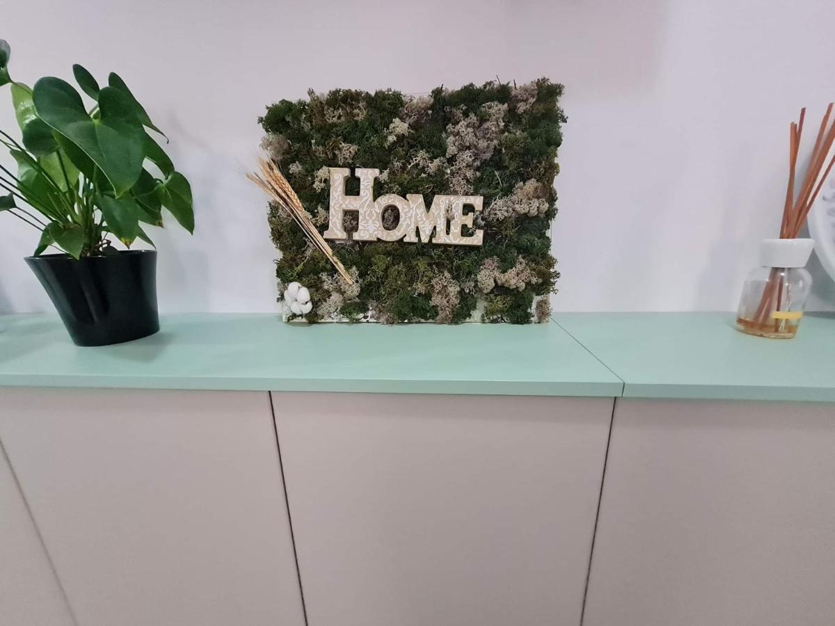 Sweet Home Sfintu Ilie Kültér fotó